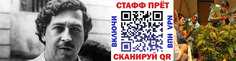 Где купить наркоту Пласт Cocaine  АМФ  Бошки Шишки  ГАШИШ  A PVP 