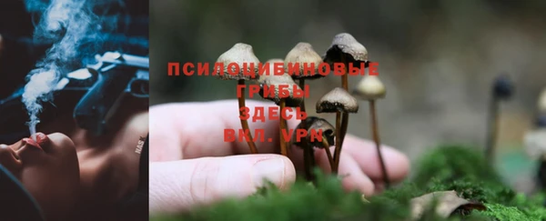 гидра Валдай