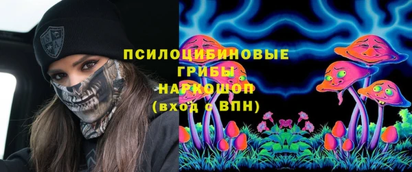 соль курить ск Алзамай