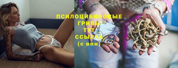 соль курить ск Алзамай