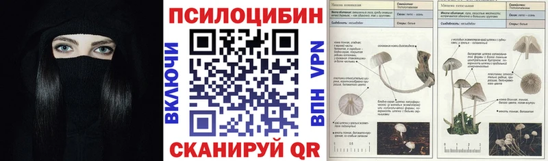 Галлюциногенные грибы Magic Shrooms Пласт