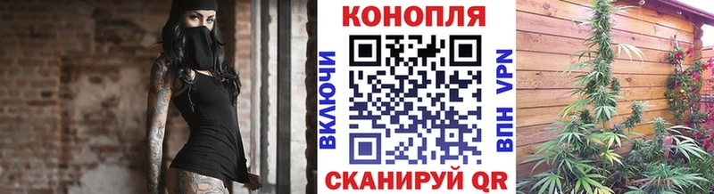 Конопля планчик  наркотики  Пласт 